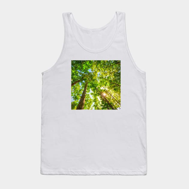 Sun Shining Through A Vibrant Leafy Forest Tank Top by Earthworx